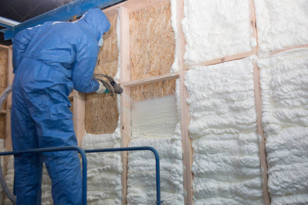 Best Basement Insulation  in Manton, MI